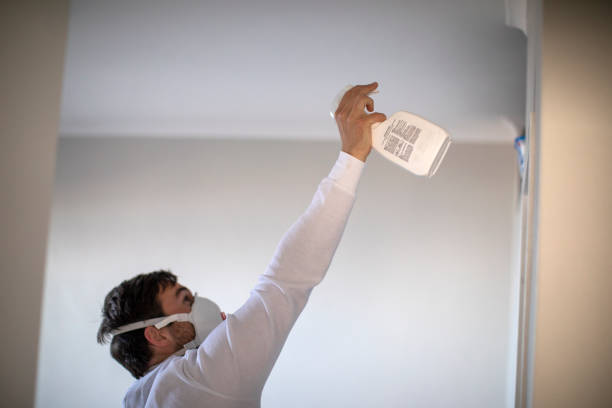 Best Mold Testing  in Westfield, NJ